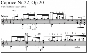 Legnani Op.20 Caprice Nr.22