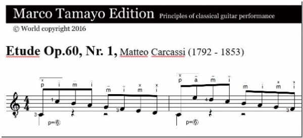 Carcassi Matteo, Op.60, Etudes Nr. 1, 7, 9, 16, 21, 23